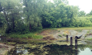 Экологические услуги от ПромМир в Каменске-Шахтинском - стоимость от 12361 руб.