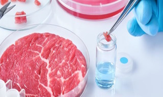Лабораторный анализ пищевых продуктов по СанПиН в Каменске-Шахтинском в октябре