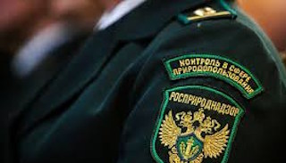 Подготовка к проверке Росприроднадзора в Каменске-Шахтинском от ПромМир, стоимость услуги от 20602 руб.